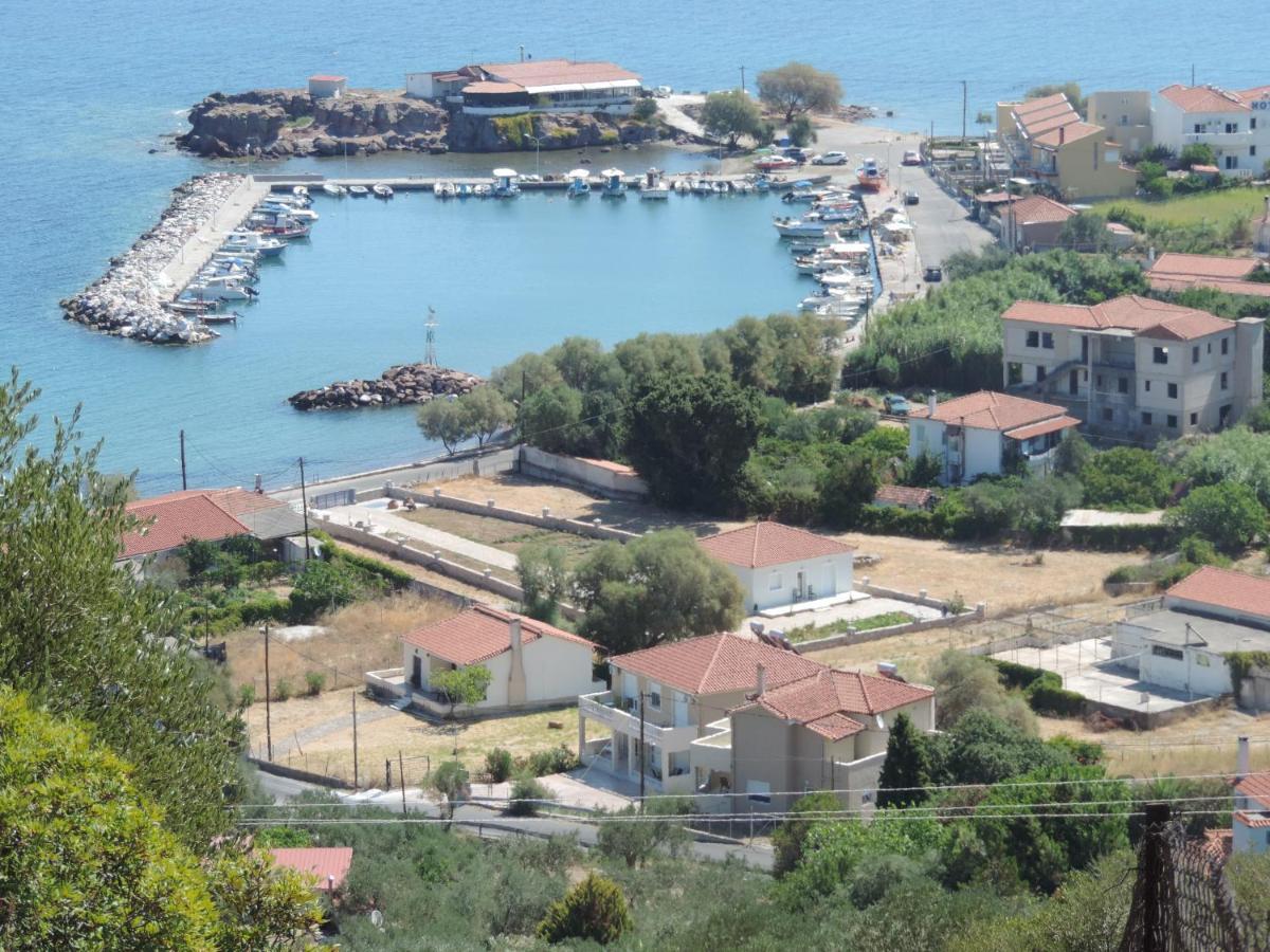 Fotis Apartments Szkála Néon Kidonión Kültér fotó